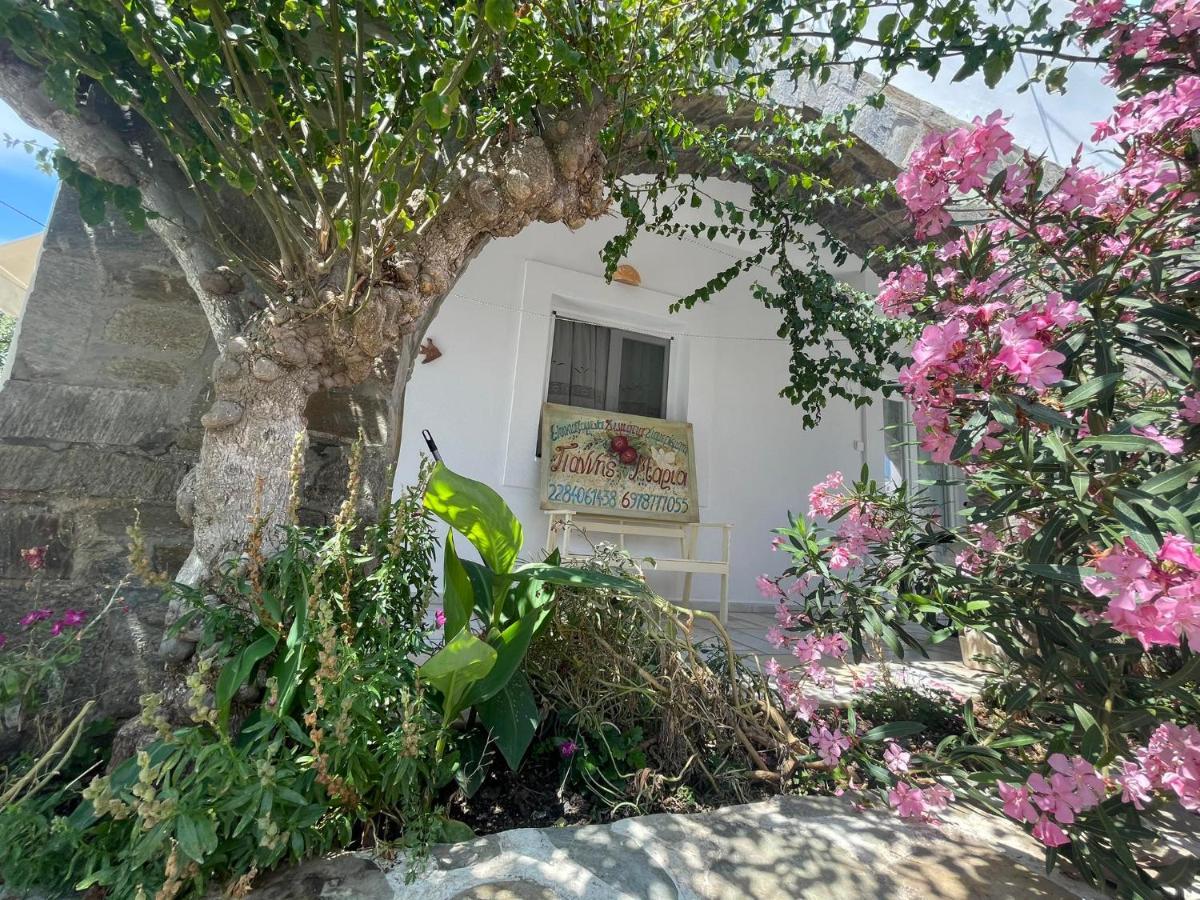 Yannis Maria Rooms Antiparos Town Exteriér fotografie